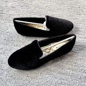 BIRDIES Starling in black velvet - SZ 6.5 (never worn)